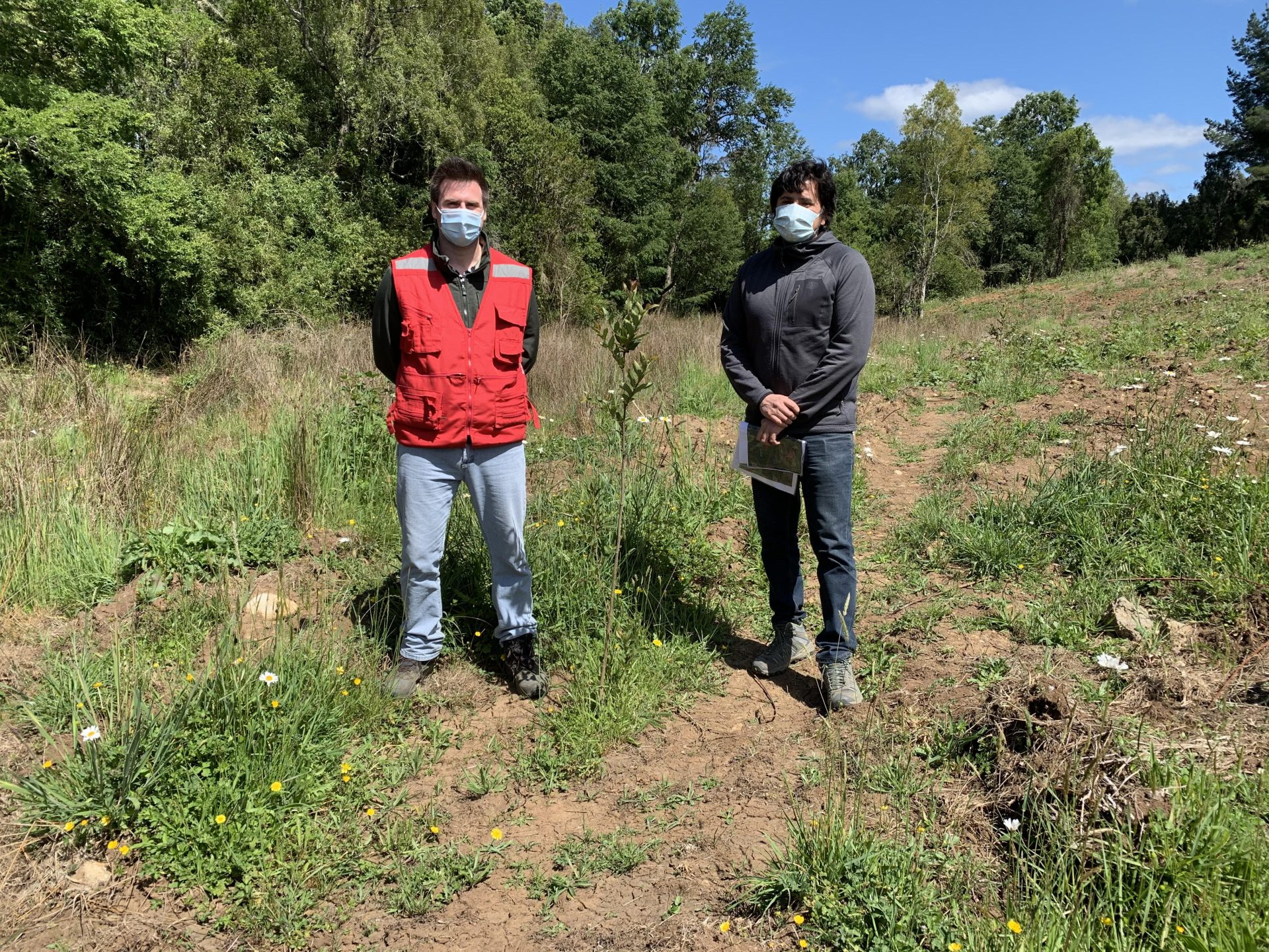 Avifel reforesta predio en Colhue con árboles nativos