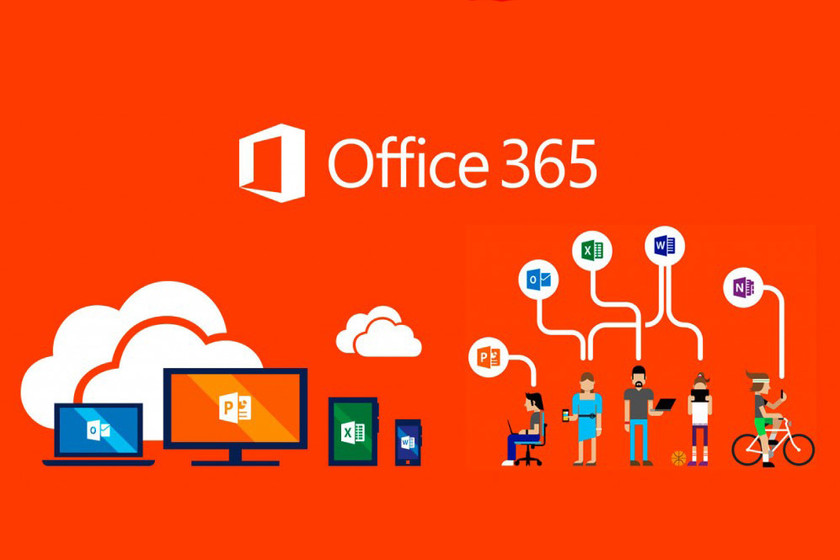 Avifel realiza migración de correos a Office 365 - Constructora Avifel